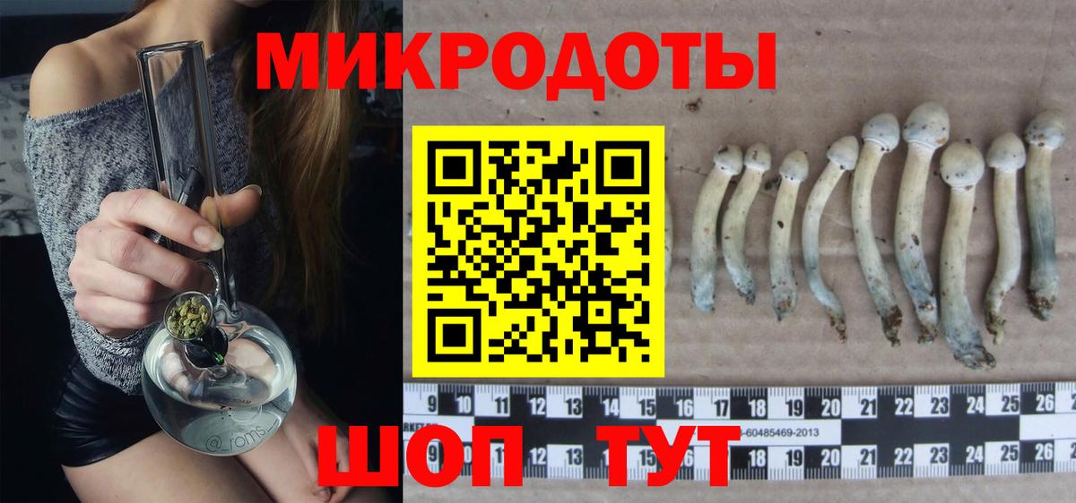 Псилоцибиновые грибы Magic Shrooms Тольятти
