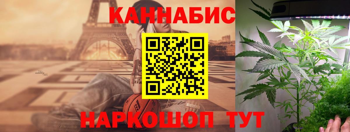 Конопля план Тольятти